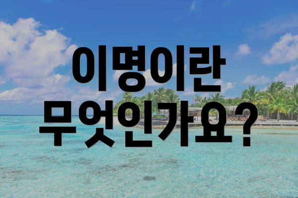 이명이란 무엇인가요?