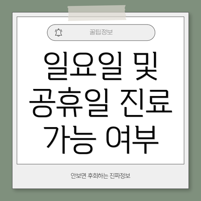 일요일 및 공휴일 진료 가능 여부