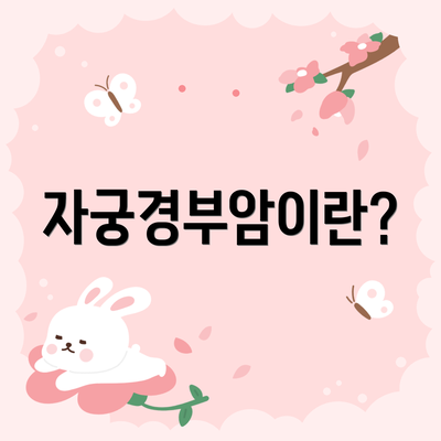자궁경부암이란?