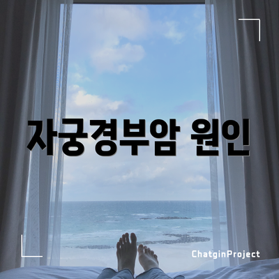 자궁경부암 원인