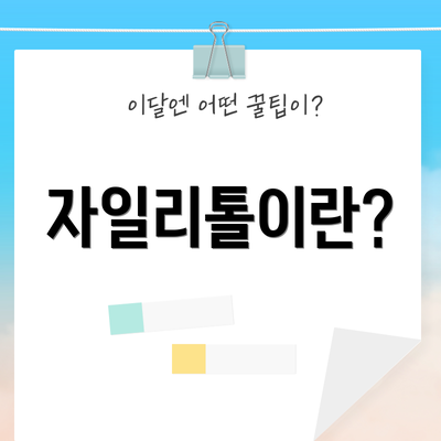 자일리톨이란?