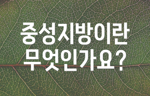 중성지방이란 무엇인가요?