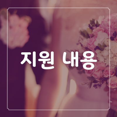 지원 내용