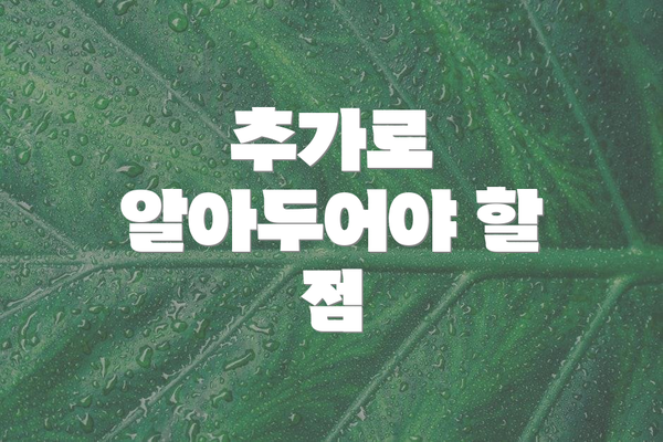 추가로 알아두어야 할 점