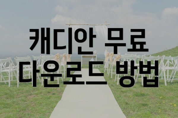 캐디안 무료 다운로드 방법