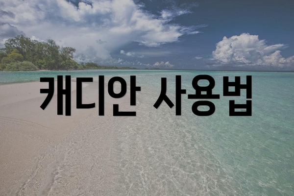 캐디안 사용법