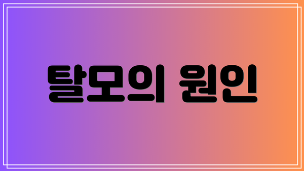 탈모의 원인