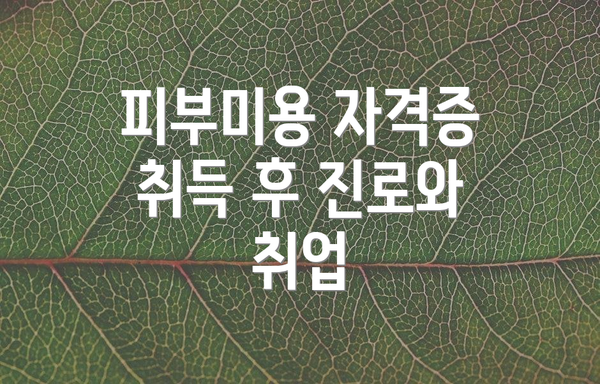 피부미용 자격증 취득 후 진로와 취업