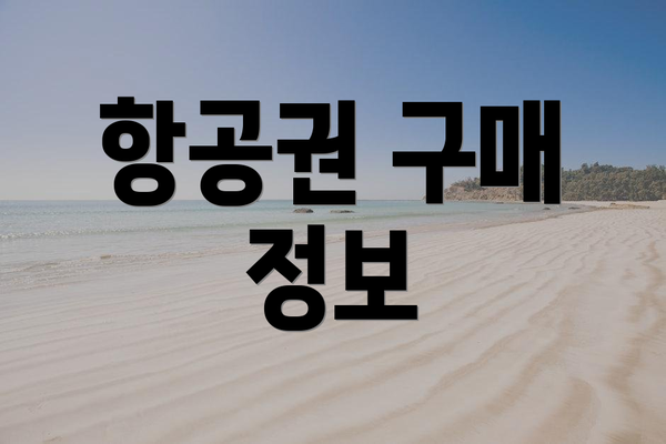 항공권 구매 정보