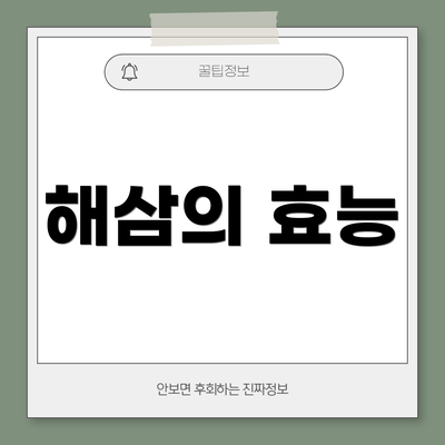 해삼의 효능