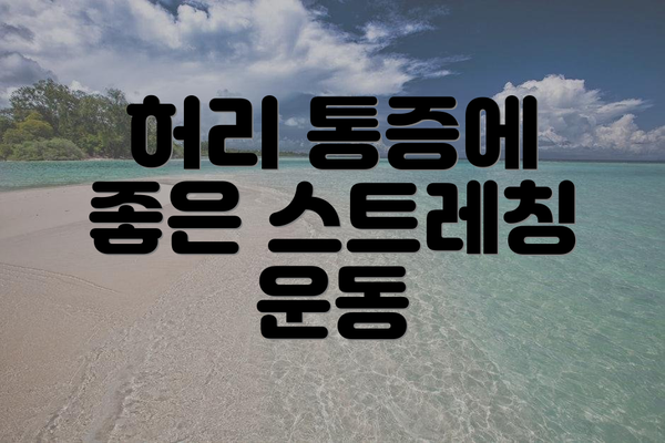 허리 통증에 좋은 스트레칭 운동
