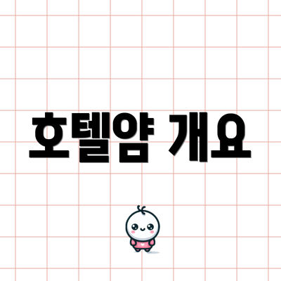 호텔얌 개요