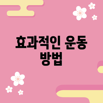 효과적인 운동 방법