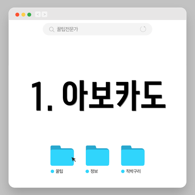 1. 아보카도