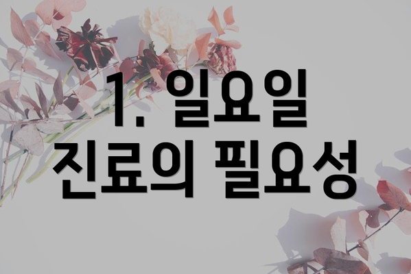 1. 일요일 진료의 필요성
