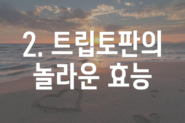 2. 트립토판의 놀라운 효능