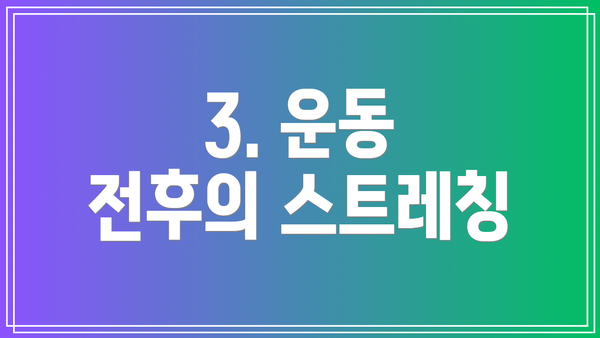3. 운동 전후의 스트레칭