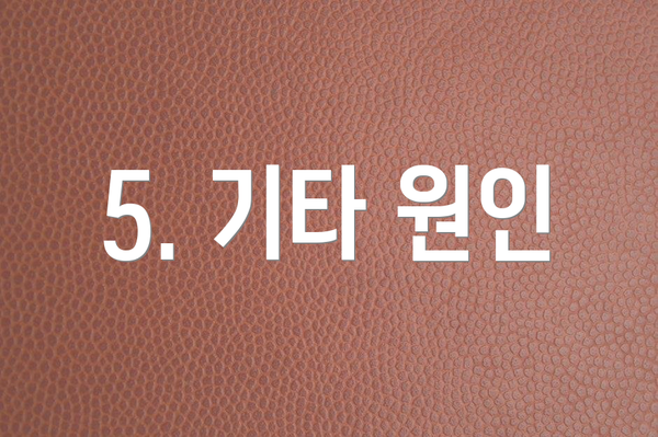 5. 기타 원인