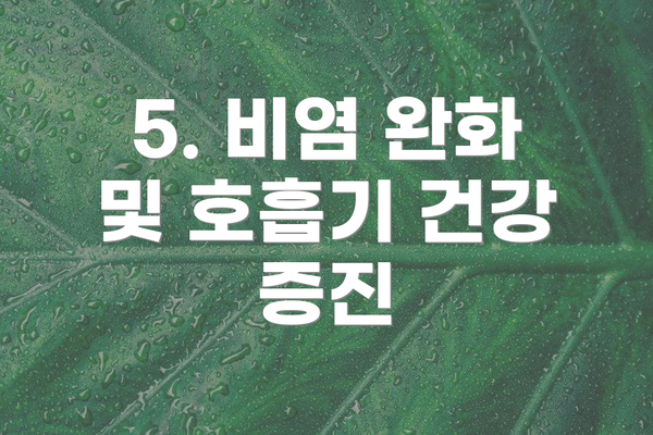 5. 비염 완화 및 호흡기 건강 증진