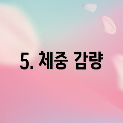5. 체중 감량