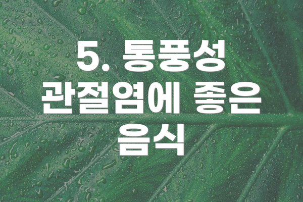 5. 통풍성 관절염에 좋은 음식
