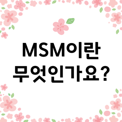 MSM이란 무엇인가요?