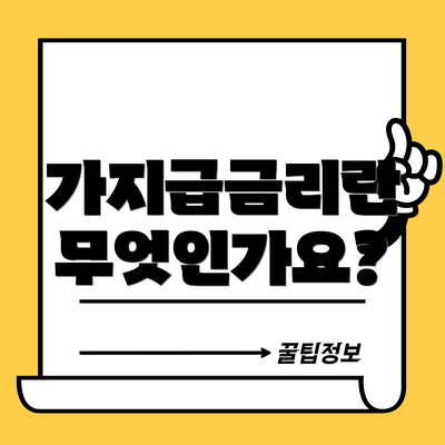 가지급금리란 무엇인가요?