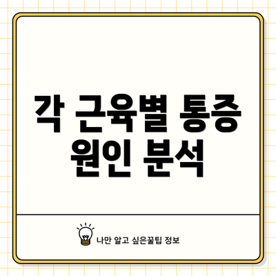 각 근육별 통증 원인 분석
