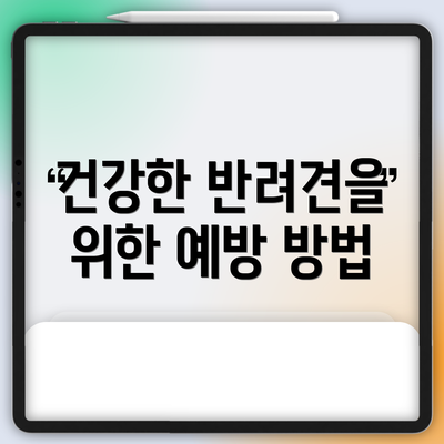 건강한 반려견을 위한 예방 방법