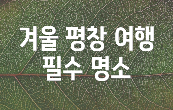 겨울 평창 여행 필수 명소