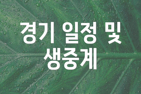 경기 일정 및 생중계