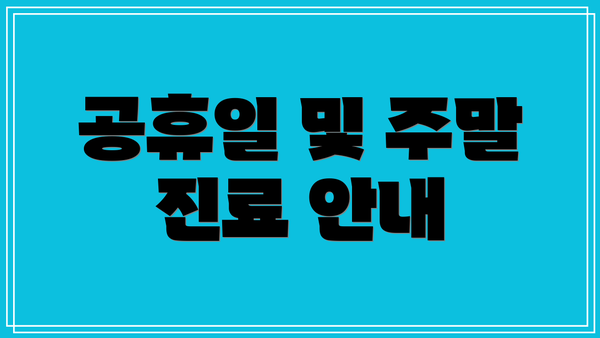 공휴일 및 주말 진료 안내