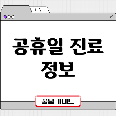 공휴일 진료 정보