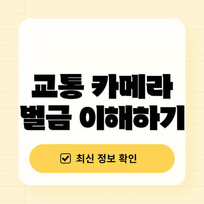 교통 카메라 벌금 이해하기