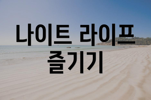 나이트 라이프 즐기기