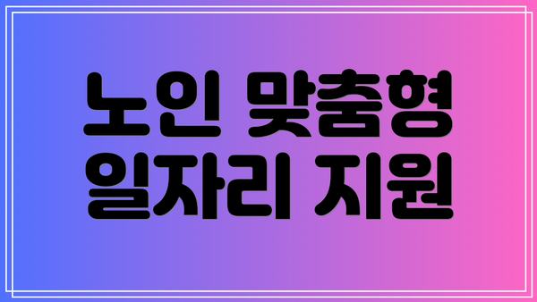 노인 맞춤형 일자리 지원