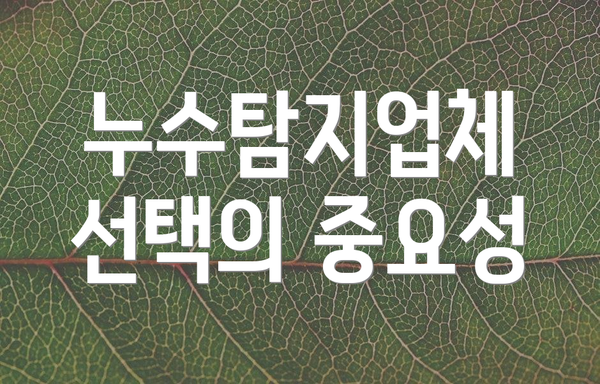 누수탐지업체 선택의 중요성