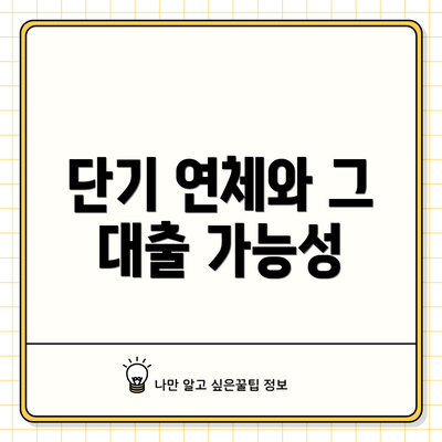단기 연체와 그 대출 가능성