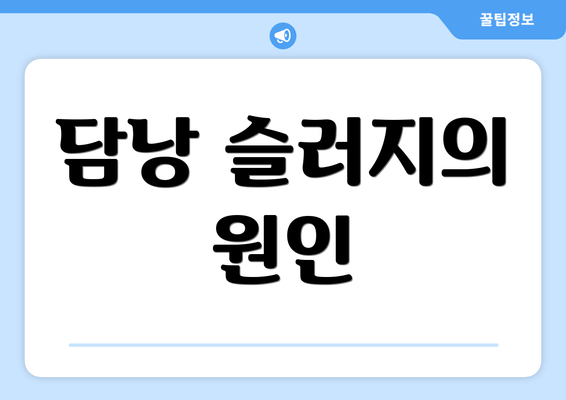 담낭 슬러지의 원인