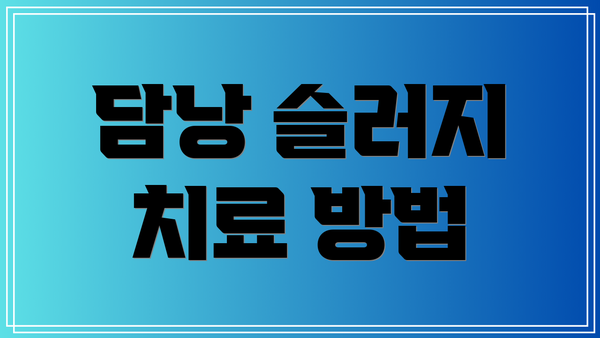 담낭 슬러지 치료 방법