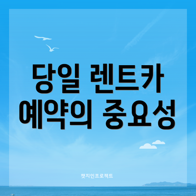 당일 렌트카 예약의 중요성