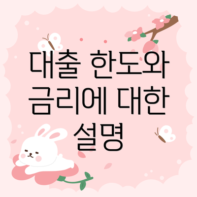 대출 한도와 금리에 대한 설명