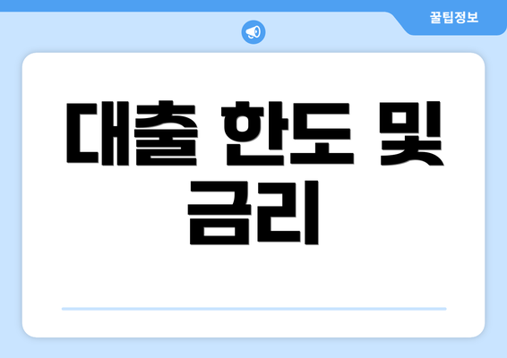 대출 한도 및 금리