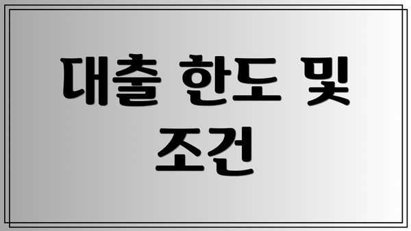 대출 한도 및 조건
