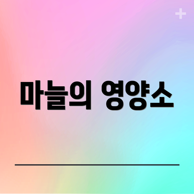마늘의 영양소