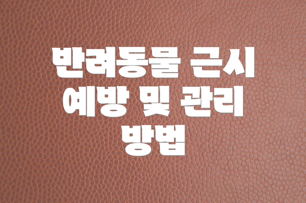 반려동물 근시 예방 및 관리 방법