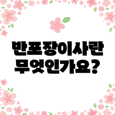 반포장이사란 무엇인가요?