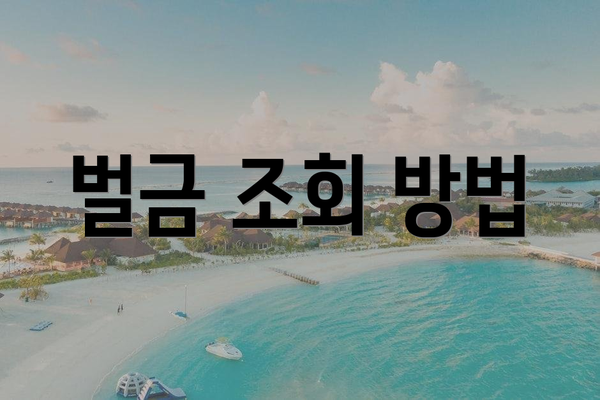 벌금 조회 방법