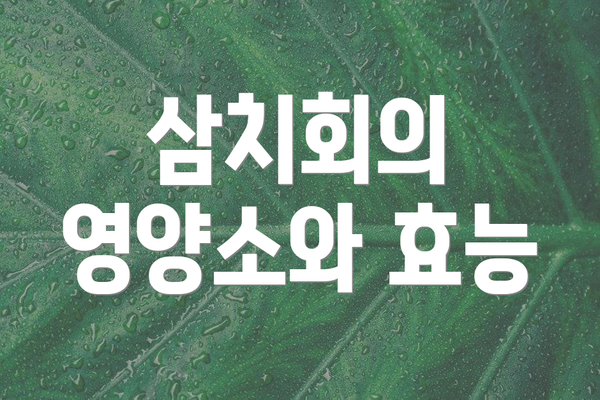 삼치회의 영양소와 효능
