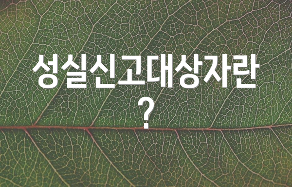 성실신고대상자란?